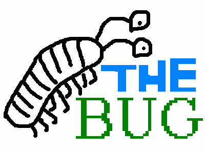 BUG BUG